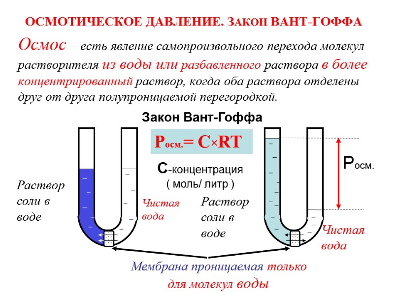 ОСМОТИЧЕСКОЕ ДАВЛЕНИЕ. ЗАКОН ВАНТ-ГОФФА Осмос – есть явление самопроизвольного перехода молекул растворителя из воды